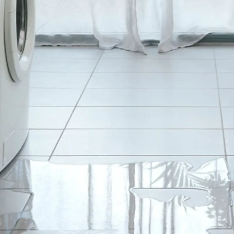 Appliance Leak Cleanup in Elmwood, LA