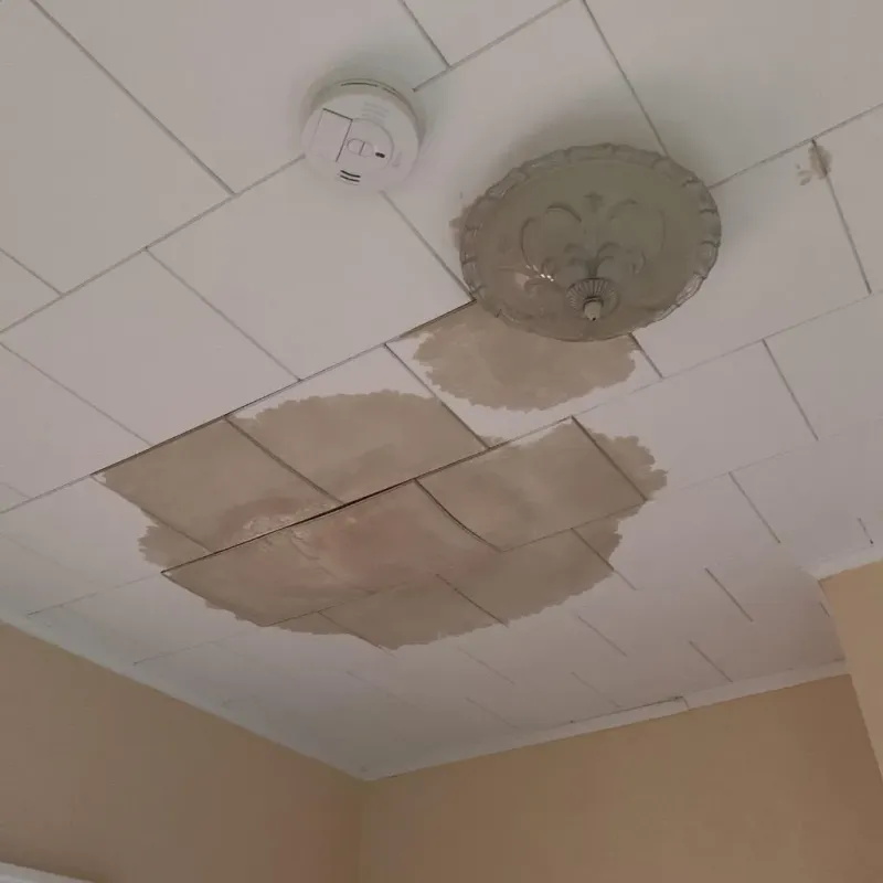 Ceiling Water Damage Repair in Elmwood, LA